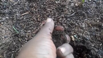 [ID: DbXSNoZQRfA] Youtube Automatic