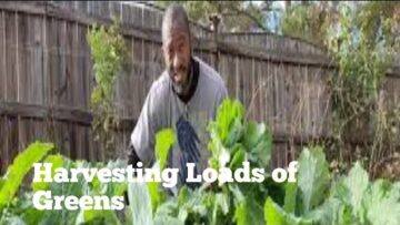 [ID: dfnO6ovPOHU] Youtube Automatic