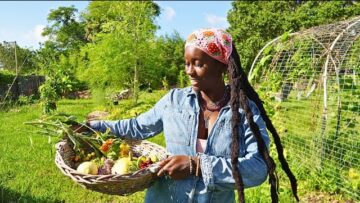 [ID: dfx8lueRZ0s] Youtube Automatic