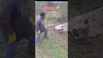 [ID: Dix6FJJbOR0] Youtube Automatic