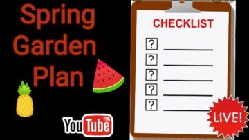 [ID: djfECAbOBvg] Youtube Automatic