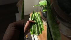 [ID: dNPdj0aRQk4] Youtube Automatic