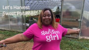 [ID: DOjJf3pcD6M] Youtube Automatic