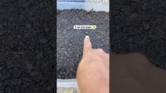 [ID: dRdwD_enSfc] Youtube Automatic