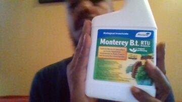 [ID: Dr_W0uSB_jw] Youtube Automatic