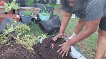 [ID: DsbmJl8fyU8] Youtube Automatic