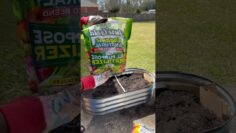 [ID: dxtJ_imx9lE] Youtube Automatic