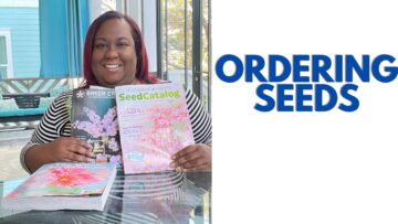 [ID: dzopgRD8HXY] Youtube Automatic