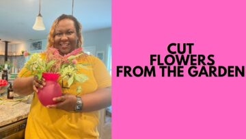 [ID: e6AUS2P2rf0] Youtube Automatic