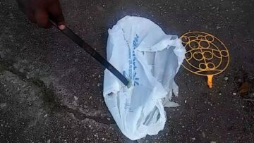 [ID: E7KRN0PvG_c] Youtube Automatic