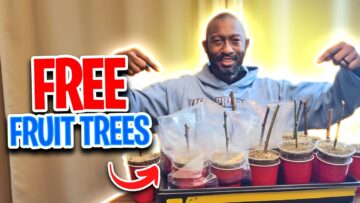 [ID: eAjMJbGfHvE] Youtube Automatic