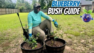 [ID: eAXY3ePiJvw] Youtube Automatic