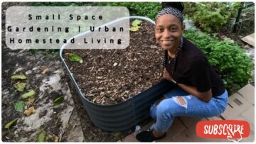 [ID: EDb4qyPKEIw] Youtube Automatic