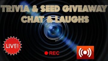 [ID: eeBAVj1Lxyc] Youtube Automatic