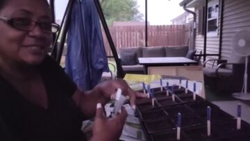 [ID: EfeV_DW4sWE] Youtube Automatic