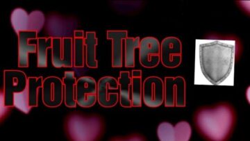 [ID: eflgCfjGCmo] Youtube Automatic