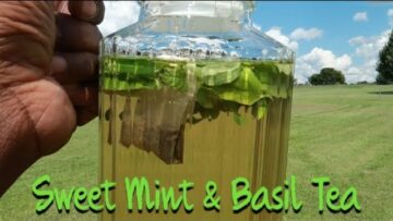 [ID: -Ei0XnOrOAI] Youtube Automatic