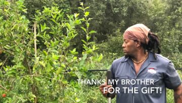 [ID: ELQNsKTM6Z4] Youtube Automatic