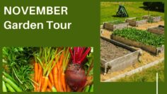 [ID: emzEKftAdyQ] Youtube Automatic