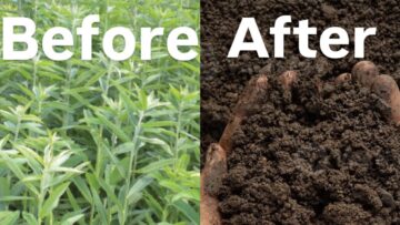 [ID: ePw0vkSh_X8] Youtube Automatic