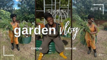 [ID: EsBGKgF7IzY] Youtube Automatic