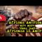 African Americans are more than just Africans in America