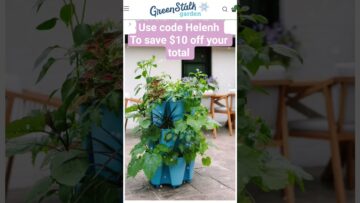 [ID: eZKwrhBnxpY] Youtube Automatic