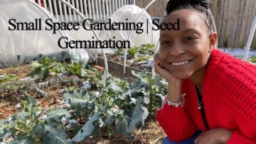 [ID: F1bxvy6YDrE] Youtube Automatic