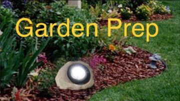 [ID: f3Fw0QEPoVA] Youtube Automatic