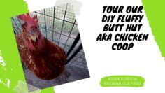 [ID: f3GLG91kl6k] Youtube Automatic