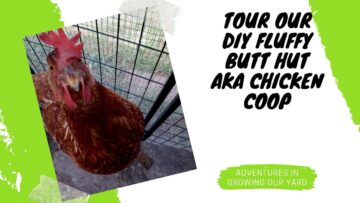 [ID: f3GLG91kl6k] Youtube Automatic