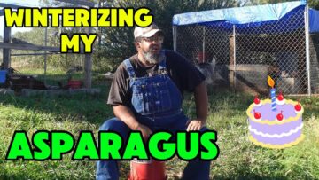 [ID: f5DMbA7DWBU] Youtube Automatic