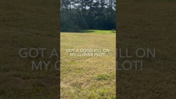 [ID: f7CHknzKrF8] Youtube Automatic