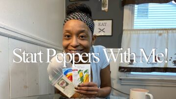 [ID: F7ipBWx6YSI] Youtube Automatic