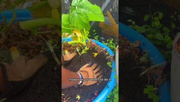 [ID: fhVoPVvpBhM] Youtube Automatic