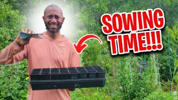 [ID: FIFeUdWZqt8] Youtube Automatic