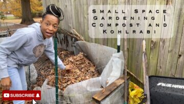 [ID: fnvjVs4AxuI] Youtube Automatic