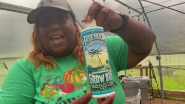 [ID: Fq4kUHSe7PI] Youtube Automatic