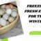 Preserving Fresh Eggs