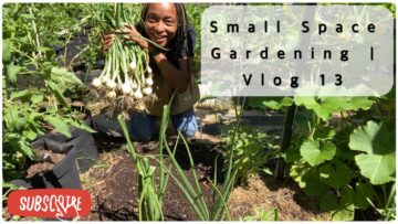 [ID: frBEJtUhGpQ] Youtube Automatic