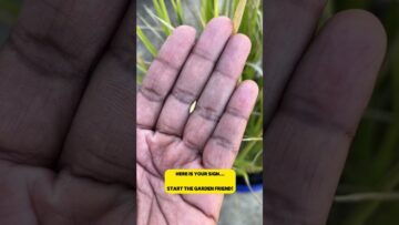 [ID: fSDfmKeNJeA] Youtube Automatic