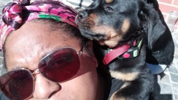 [ID: F_vtayYBDTA] Youtube Automatic