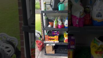 [ID: fwYrvF6LMZE] Youtube Automatic