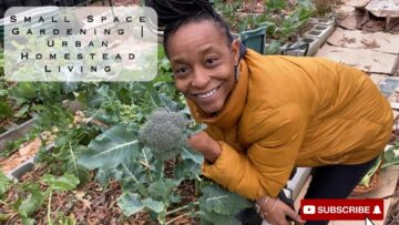 [ID: fyJj_mg50yM] Youtube Automatic