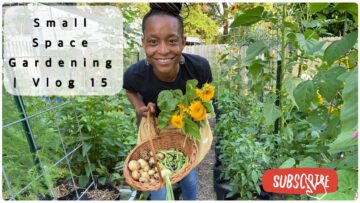 [ID: fyUj_IaHSuA] Youtube Automatic