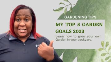 [ID: g-3E0h6MVfQ] Youtube Automatic