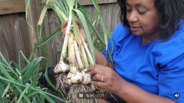 [ID: g2I4wWIzaUU] Youtube Automatic