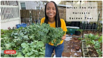 [ID: g3vlkG4LnJg] Youtube Automatic