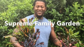 [ID: g4V26-PuzaY] Youtube Automatic