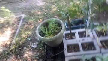 [ID: G9Y8vviG9_Y] Youtube Automatic